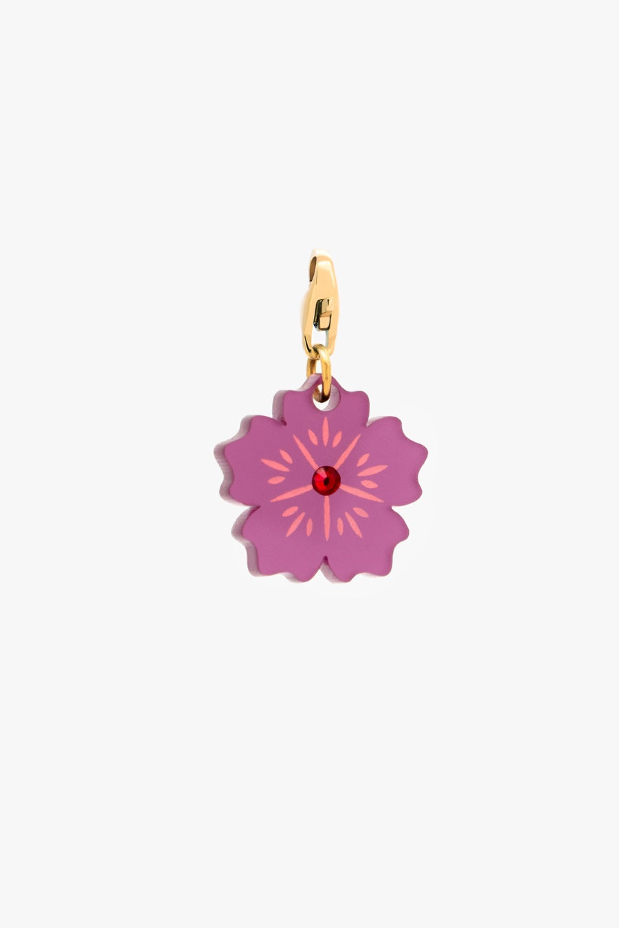 Hibiscus Púrpura Charm