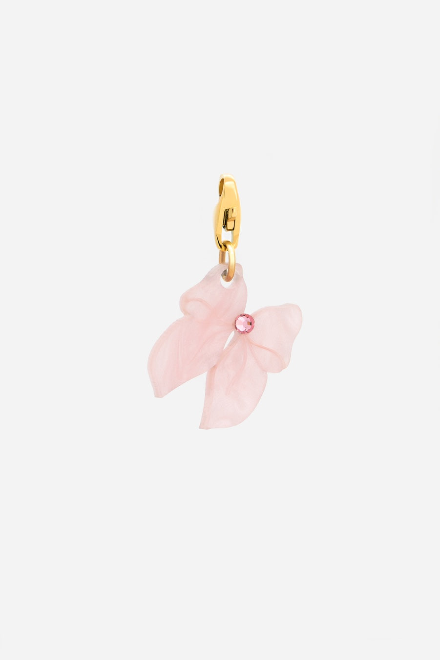 Lacito Charm