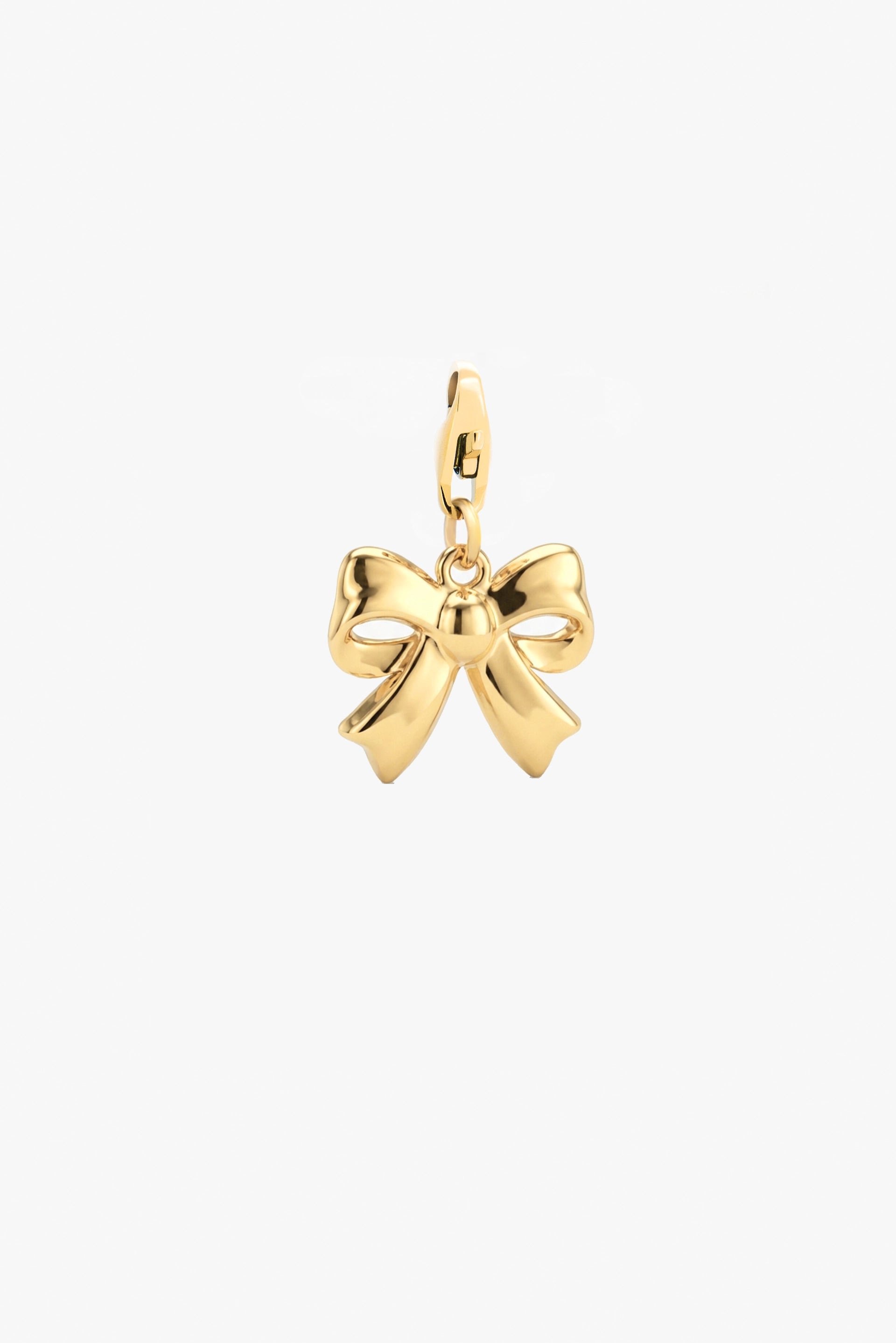 Lazo Oro Charm Pepita 79