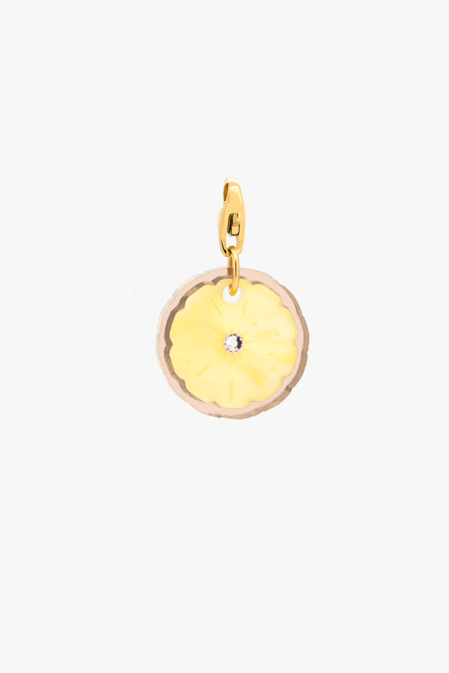 Fruti Piña Charm