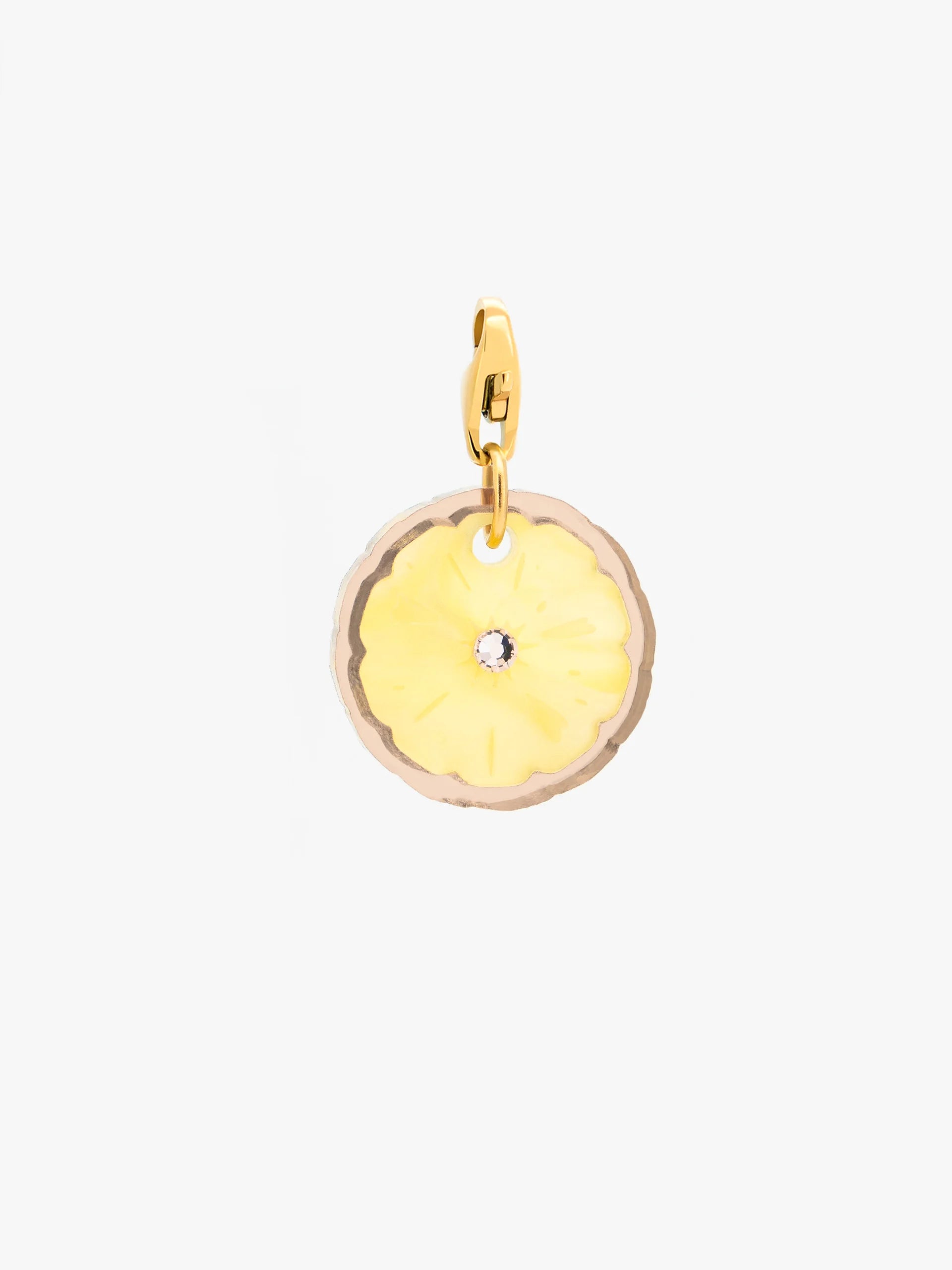 Fruti Piña Charm