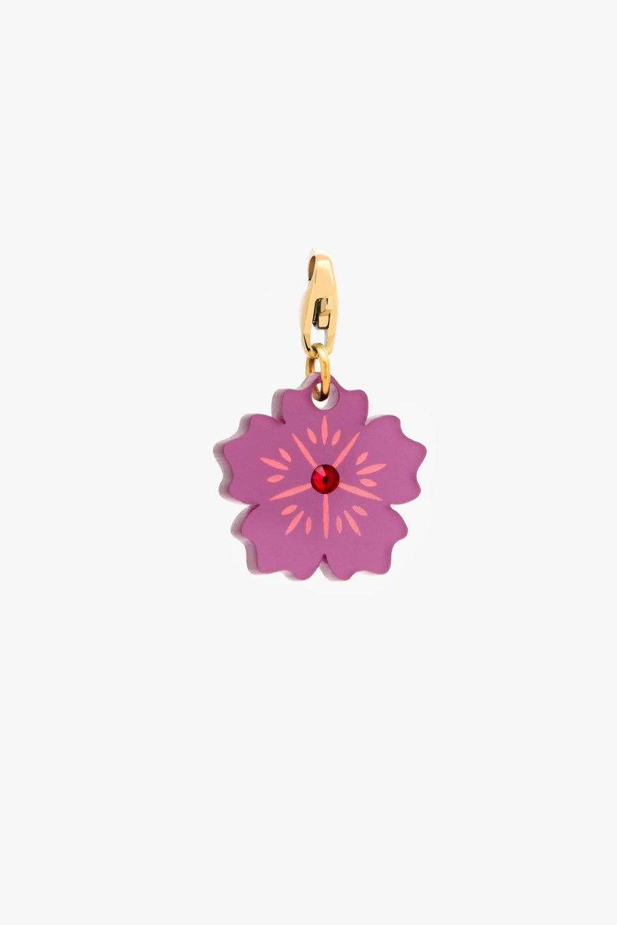 Hibiscus Púrpura Charm Charm - Pepita 79